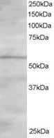 EB06152 1