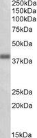 EB10894 1