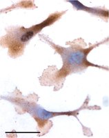 EB08990 4
