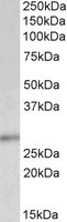 EB05061 1