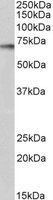 EB05630-T 2