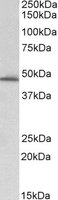 EB06720 1