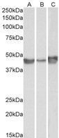 EB06720-T 2