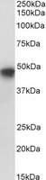 EB06720-B 1
