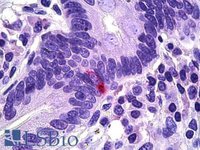 EB06805 3