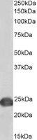 EB05880-B 1