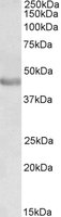 EB06343 1