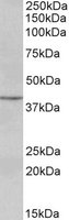 EB05566 1
