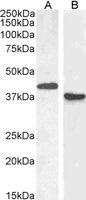 EB05566 2
