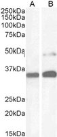 EB05513 1