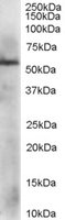 EB05735-T 1
