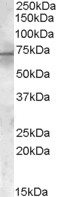 EB06983 1