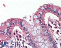 EB07728 2