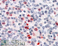 EB08053 2