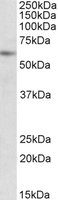 EB09879 1