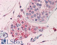 EB10834 2