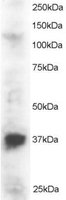 EB05324 1