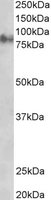 EB05500 2