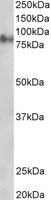 EB05500-T 2
