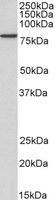 EB05500-B 1