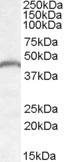 EB08402 1