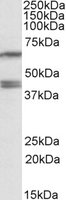 EB09835 1