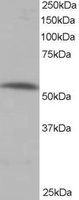 EB05234 1