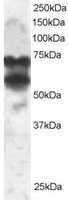EB05232 1