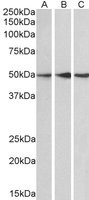 EB05231 1