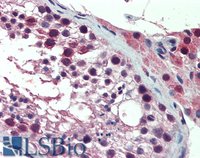 EB09549 2