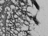 EB08196 1