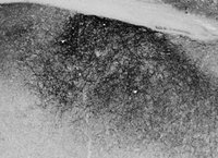 EB08196 2