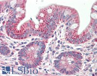 EB11897 2