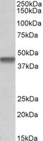 EB11896 1