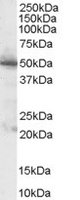 EB06731 1