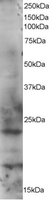 EB05030 1