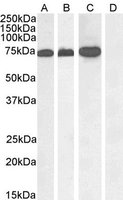 EB05315-T 2
