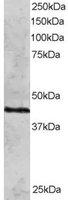 EB05686 1