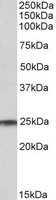 EB10644 1