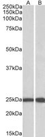 EB10644 2