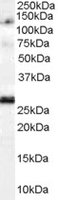 EB05553 1