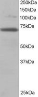 EB06253 1