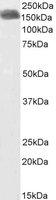 EB09512-B 1