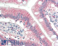 EB05820 2