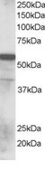 EB05843 1