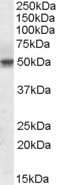 EB08932 1
