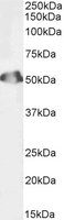 EB08932-B 1