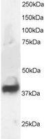 EB05413 1