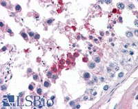 EB05413 3