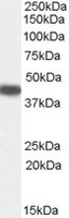 EB07715 1